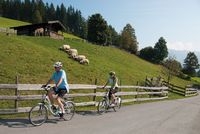 News - Central: Mit dem Fahrrad ber die Alpen. Urige Almen sind mit dem E-Bike bequem zu erreichen. 