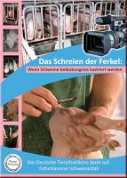 Landwirtschaft News & Agrarwirtschaft News @ Agrar-Center.de | Foto: Die Videodokumentation >> Das Schreien der Ferkel  wenn Schweine betubungslos kastriert werden << kann fr 13,99  ber den Shop des Deutschen Tierschutzbros bezogen werden.