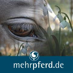 Landwirtschaft News & Agrarwirtschaft News @ Agrar-Center.de | Foto: mehrpferd.de Der Klick zu den Pferden.