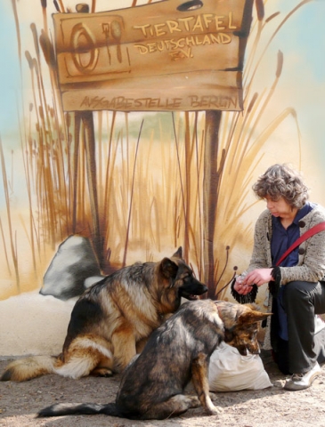 Deutsche-Politik-News.de | Frau sitzt mit Hund vor der Ausgabestelle der Tiertafel