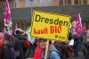 Wir-haben-Agrarindustrie-satt-Demo-Berlin-2016-160116-DSC_0283.jpg