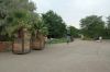 Tierpark-Berlin-Friedrichsfelde-2013-130810-DSC_0674-DSC_0672.jpg